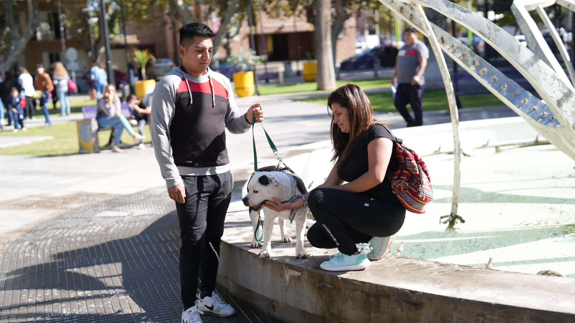 ACTIVIDAD POR EL DÍA DEL ANIMAL