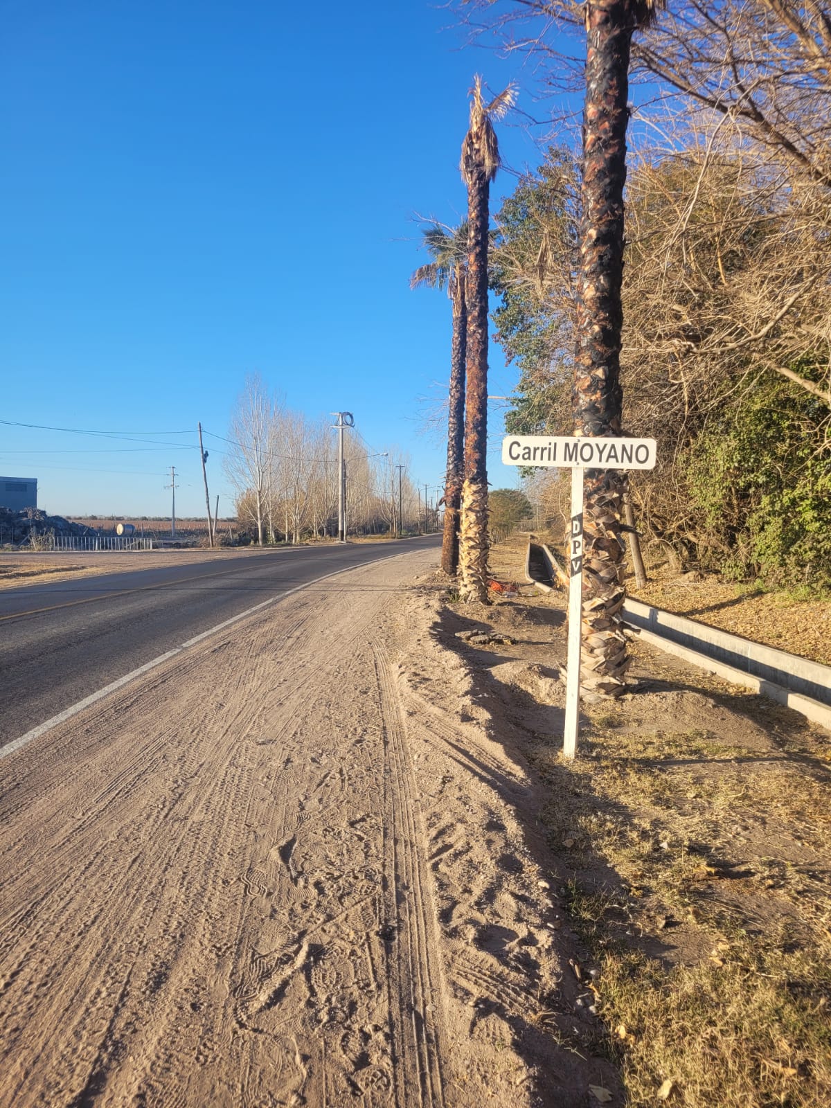 SE APROBÓ LA CONSTRUCCIÓN DE LA CICLOVÍA SOBRE CARRIL MOYANO