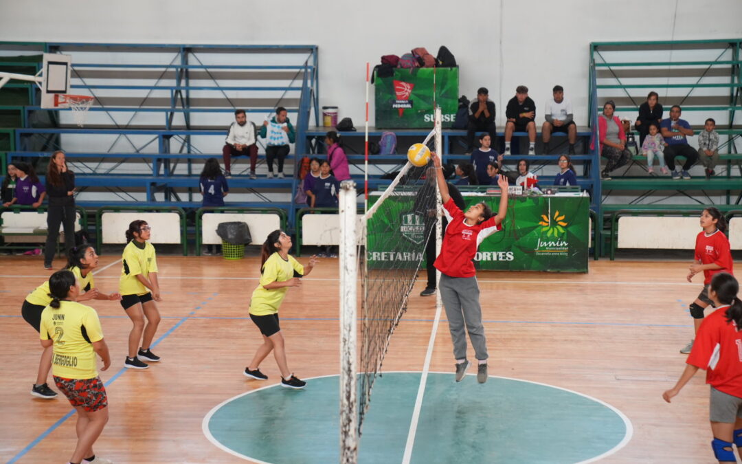 DEPORTE ESCOLAR
