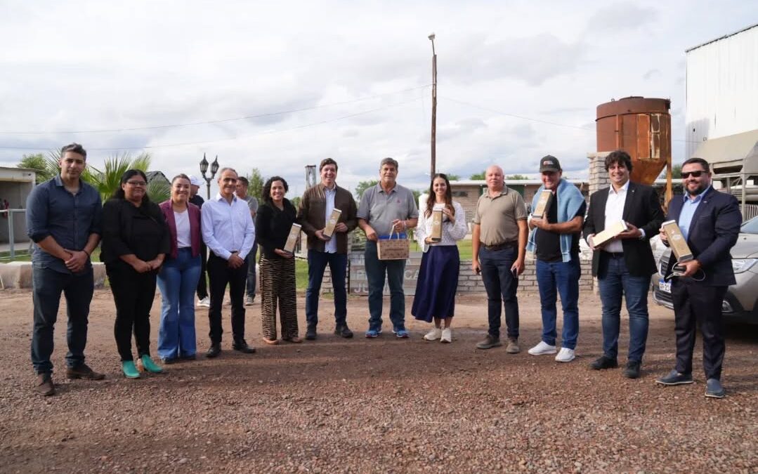 VISITA DE COMITIVA BRASILEÑA A JUNÍN