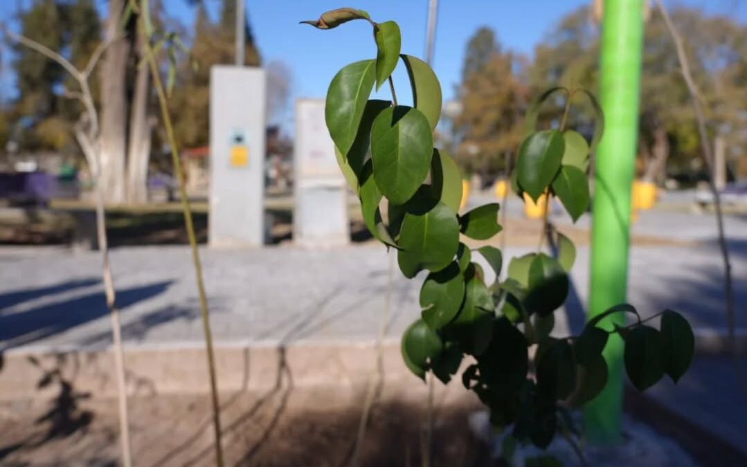 SEMANA DEL AMBIENTE EN JUNÍN