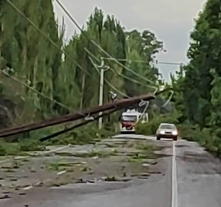 SE APROBÓ LA EMERGENCIA EN LAS REDES DE ALUMBRADO PÚBLICO A CARGO DEL MUNICIPIO