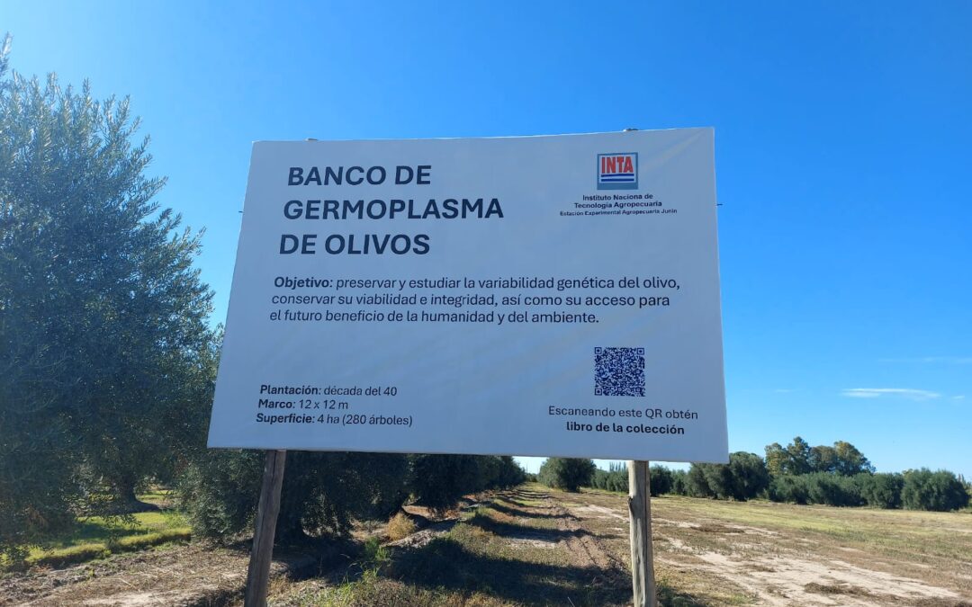 DESTACAN LA LABOR DEL BANCO DE GERMOPLASMA DEL INTA JUNÍN