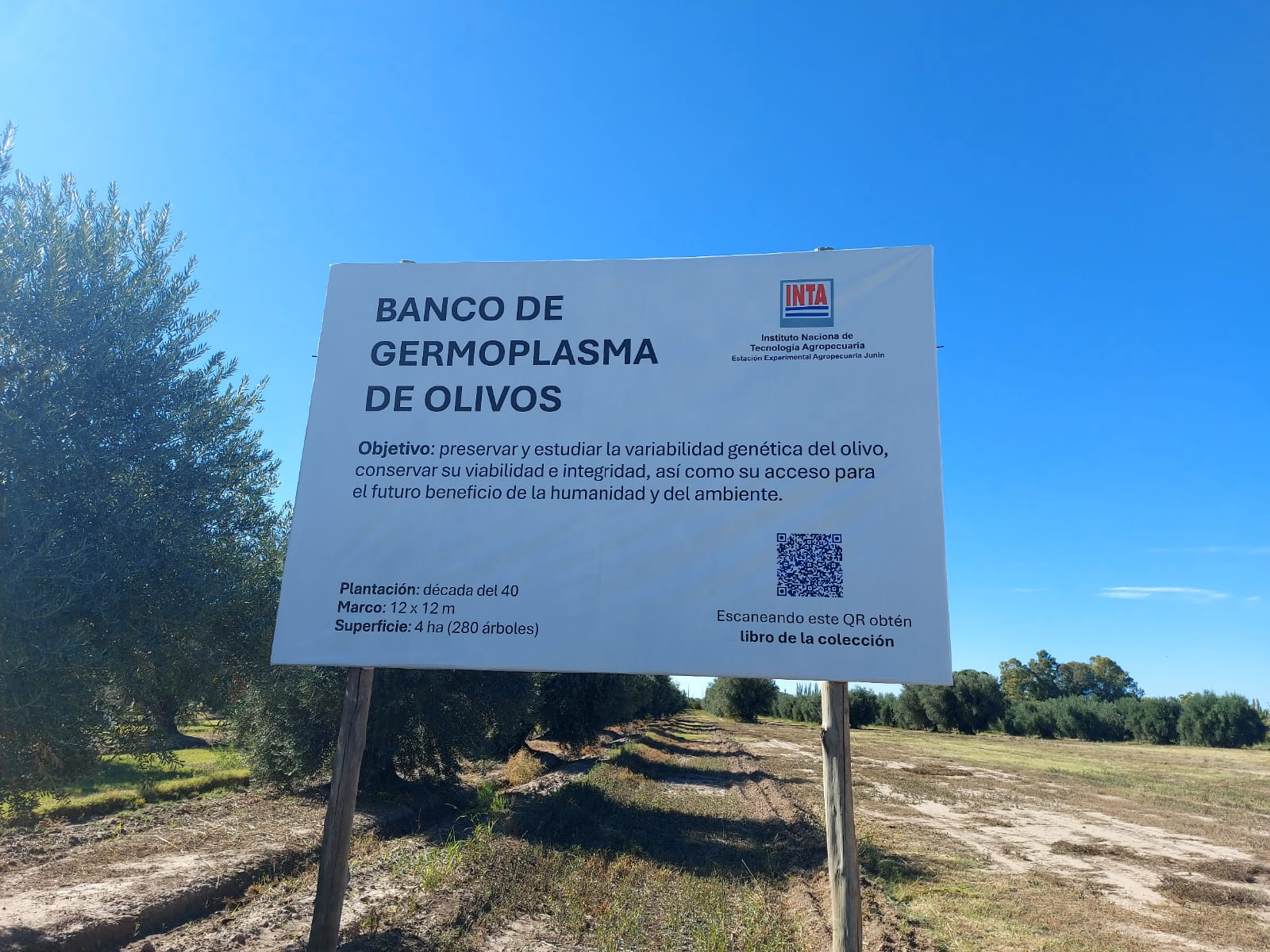 DESTACAN LA LABOR DEL BANCO DE GERMOPLASMA DEL INTA JUNÍN